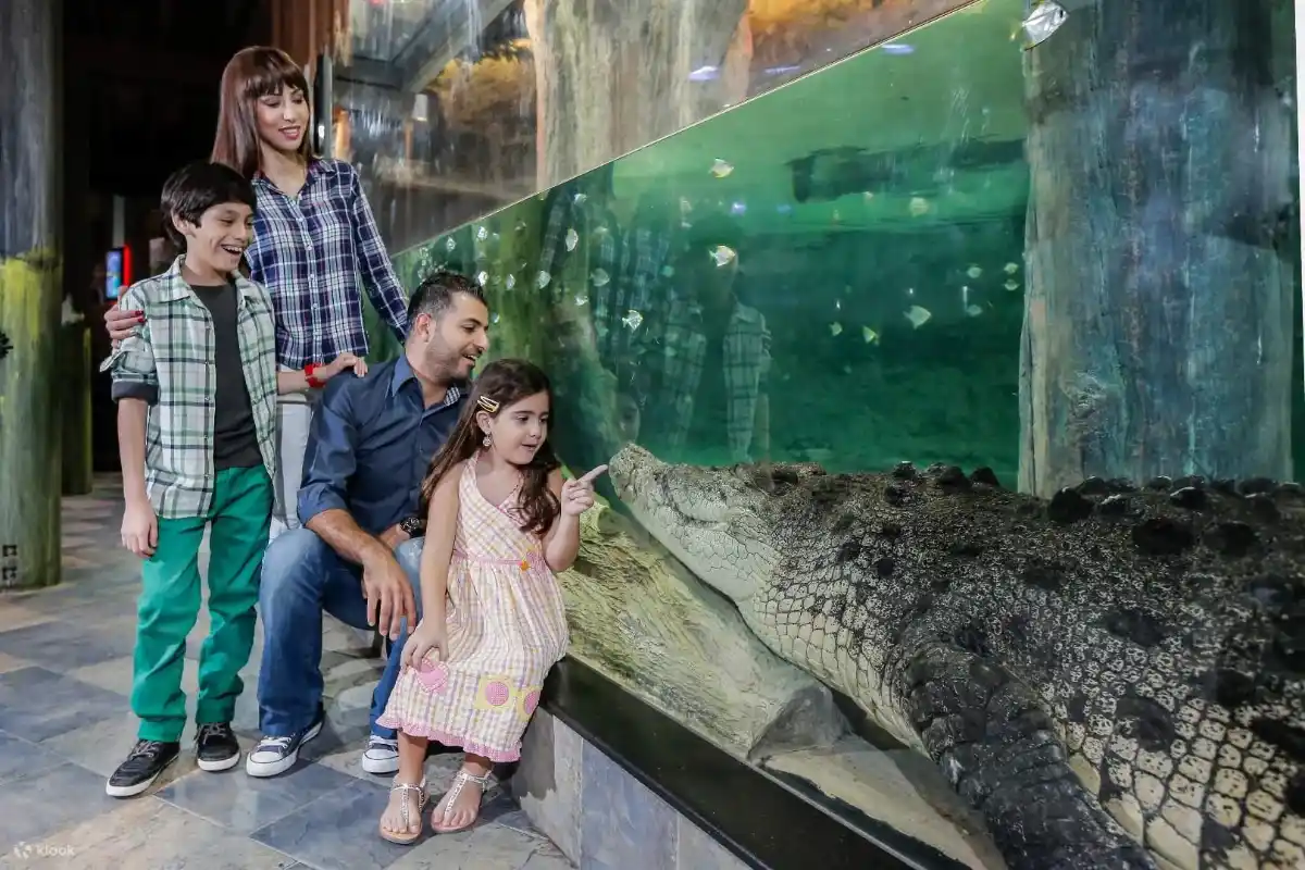 Installations d'aquarium et de zoo sous-marin