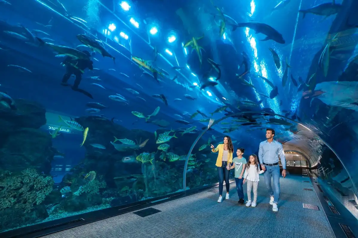 Expérience familiale et adaptée aux enfants à l'aquarium de Dubaï